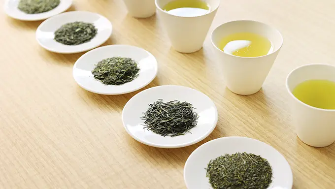 お茶を知る