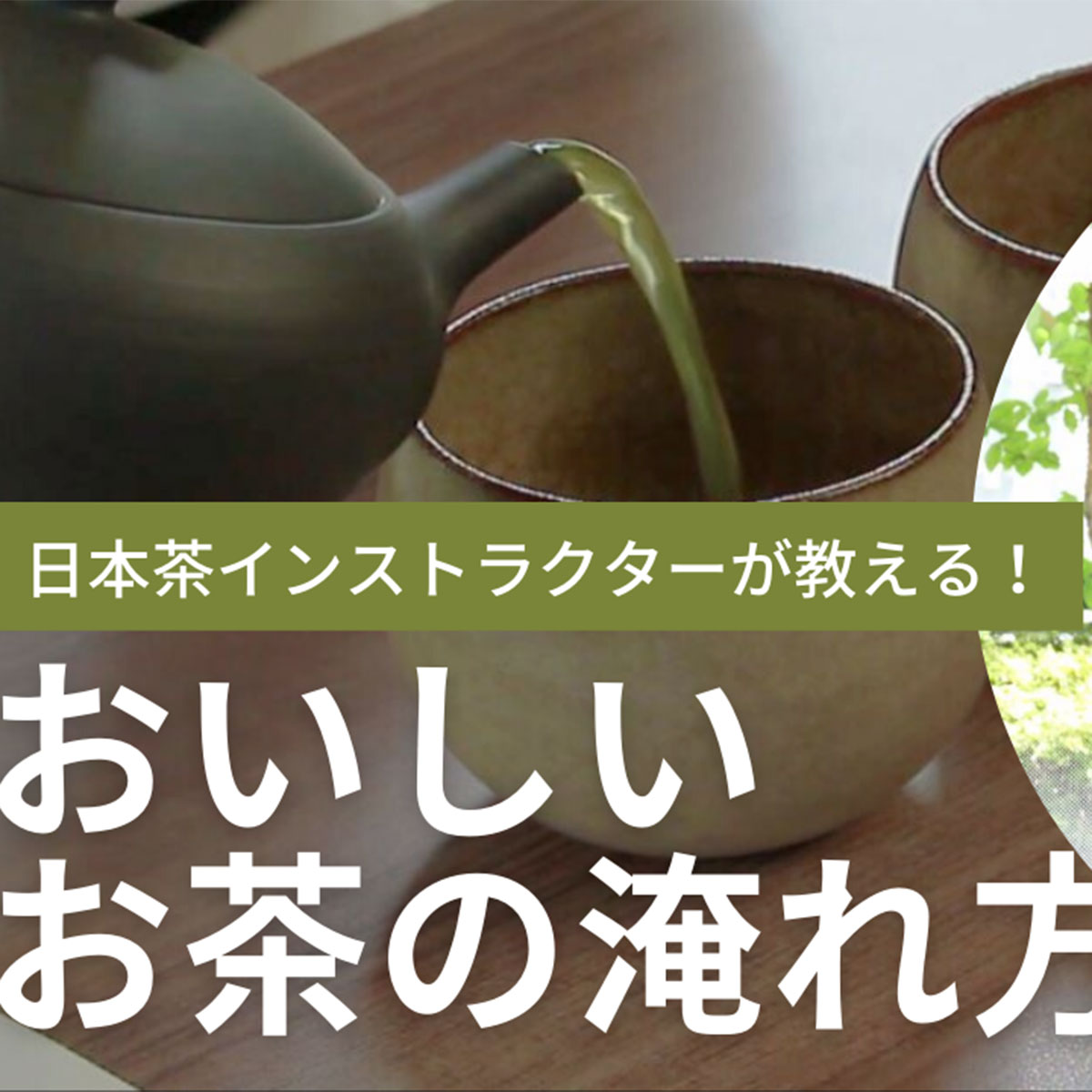 おトク情報がいっぱい！ x2966_おいしいお茶 いれよ ―日本茶中国茶紅茶ハーブティー～茶葉の種類や 湯の温度 入れるコツなど紹介  お茶受け菓子の作り方も