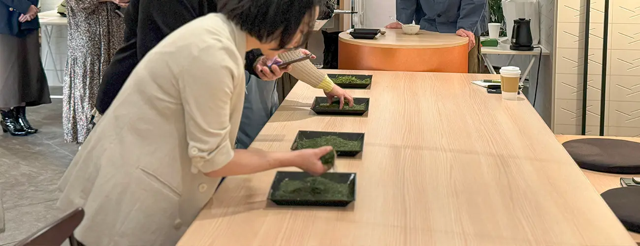 探求心を満たす日本茶の学び場【日本茶アカデミー】