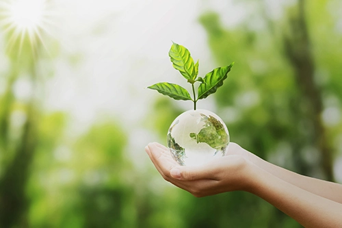 [Environmentally Friendly Stay] Sustainable Plan