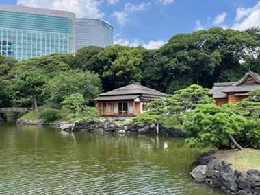 浜離宮恩賜庭園