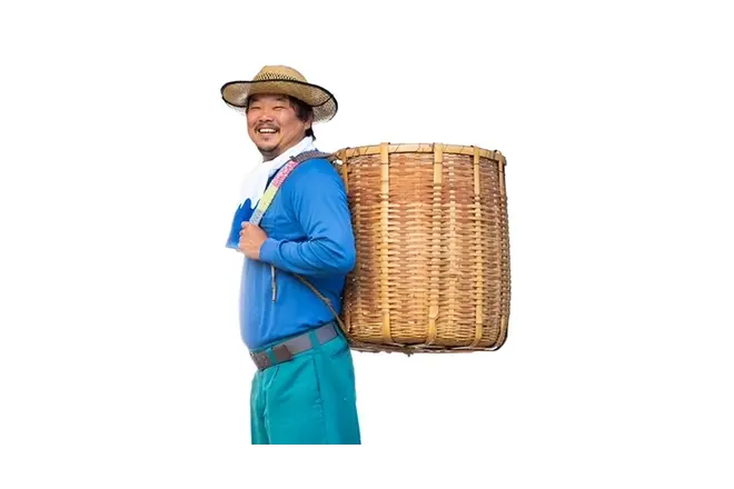 富士煎茶