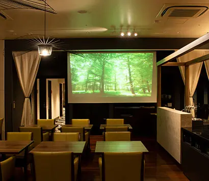 Projector use