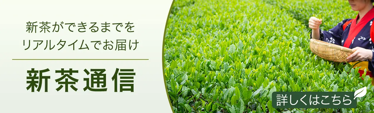 新茶通信