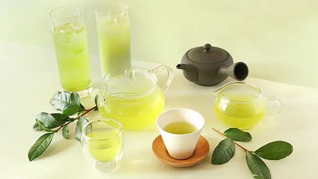 Newly Picked Tea
