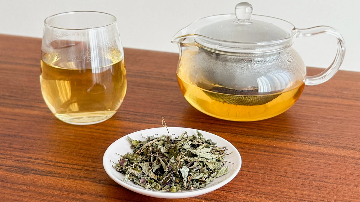 不老不死の霊薬？ホーリーバジル茶を飲んでみた | 【公式】1899